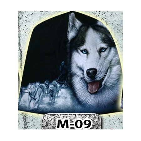 M09
